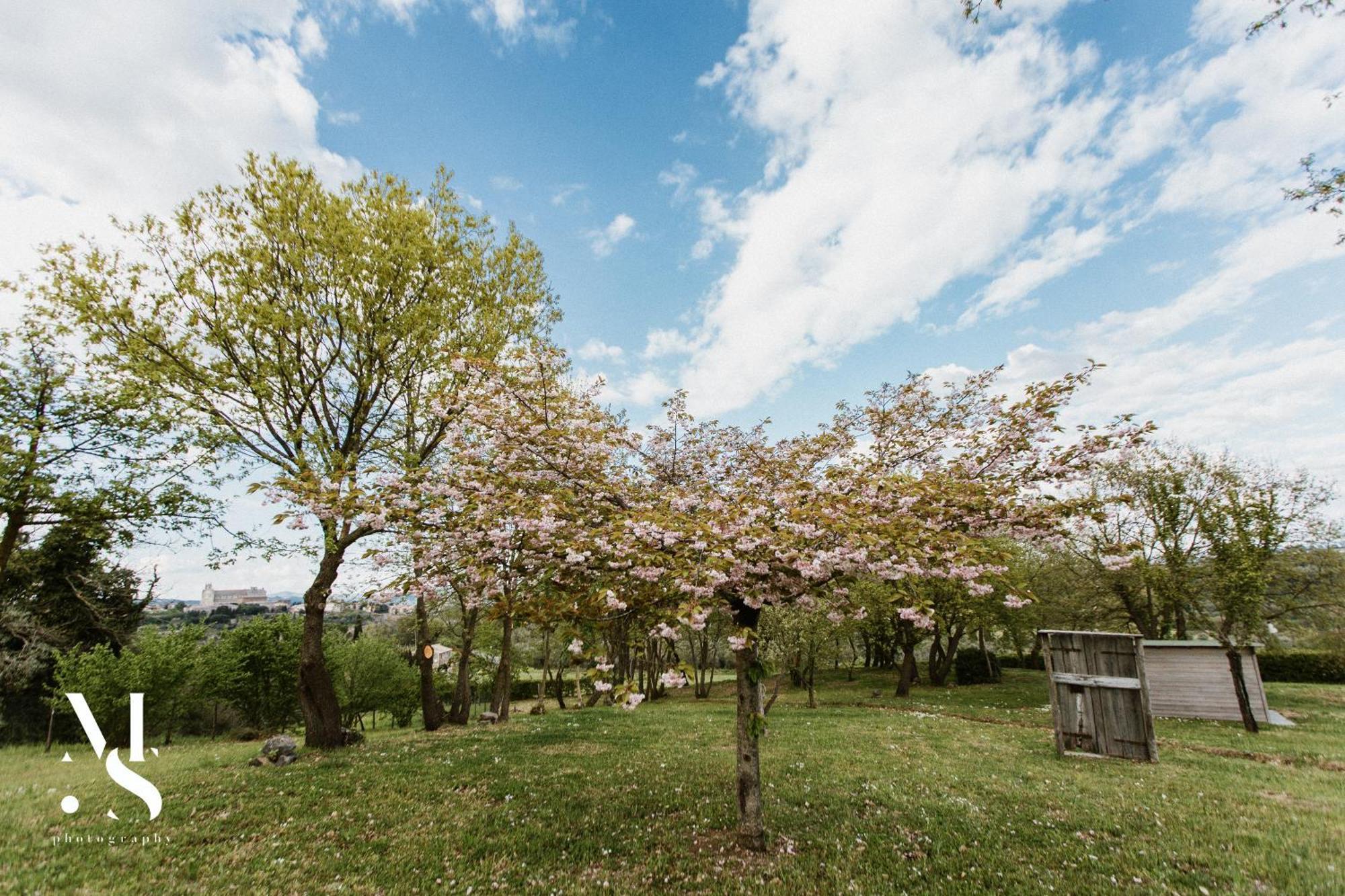 Rara Factory Design House Villa Orvieto Exterior foto